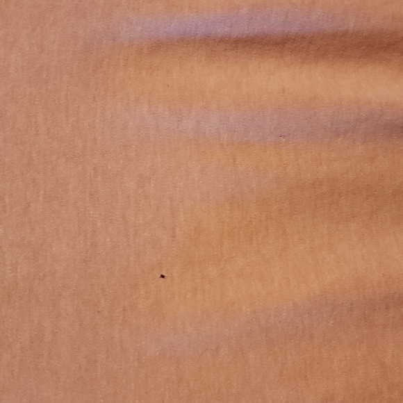 ✨️3/$20 ✨️US Polo‎ Assn - Picture 4 of 4